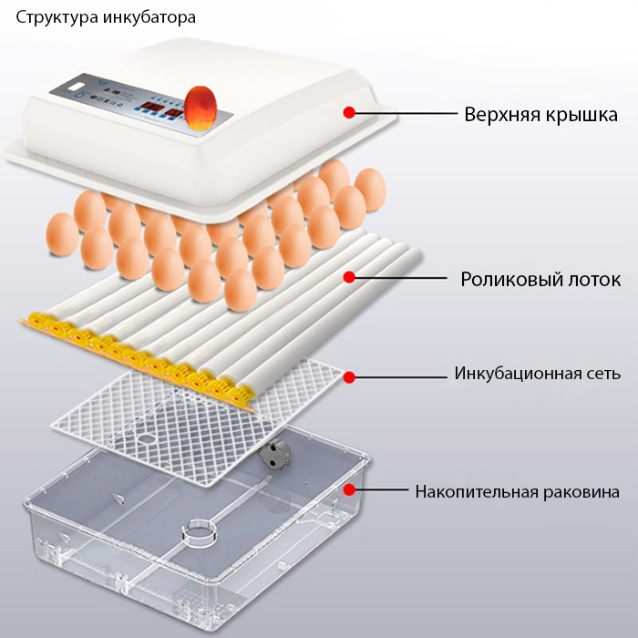 Инкубаторы В Абакане Купить Адрес Магазина