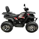 Квадроцикл Spark SP200-3 (Заводская Упаковка) (Черный)