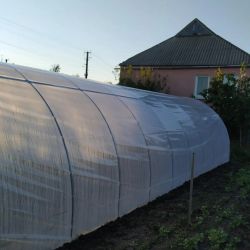 Теплица "Файна" 3х12, Без комплекта для крепления пленки, 100
