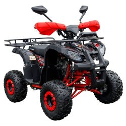 Квадроцикл Spark SP110-4 (Заводская упаковка) (Красный)